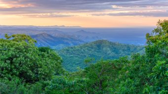 Locally controlled forest restoration  (LoCoFoRest)