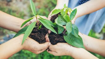 National Chemicals Management – from Knowledge to Action