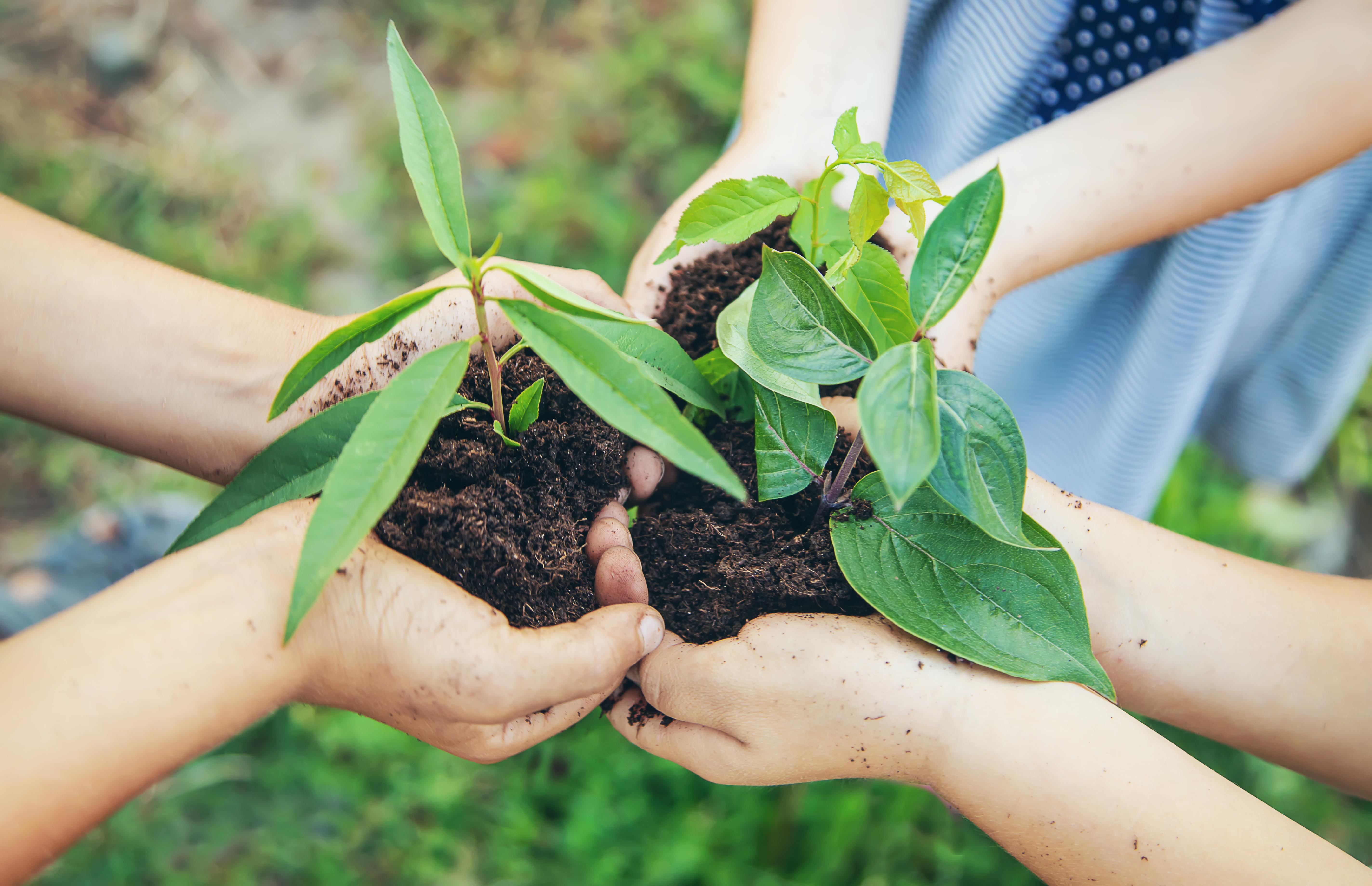 National Chemicals Management – from Knowledge to Action